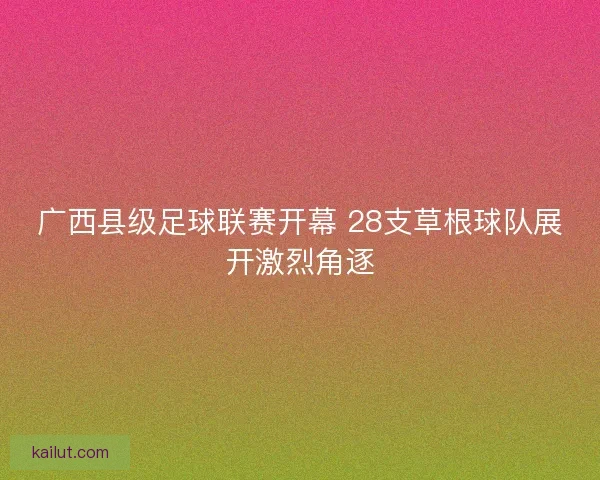广西县级足球联赛开幕 28支草根球队展开激烈角逐
