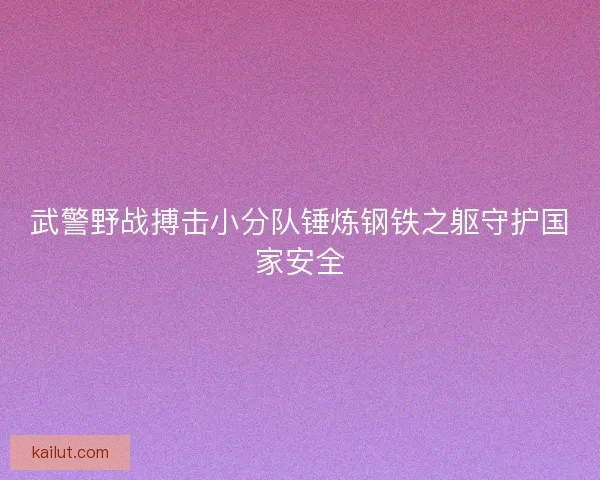 武警野战搏击小分队锤炼钢铁之躯守护国家安全